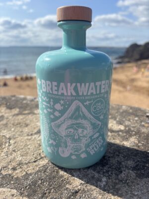 Breakwater Spiced Rum - 18+